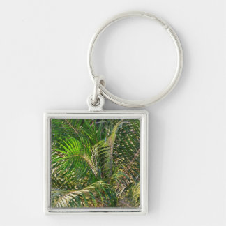 Llavero Sunset Lit Palm Fronds Tropical