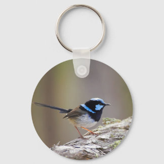 Llavero Superb Fairy-wren