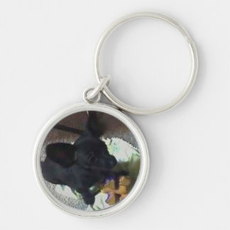 LLAVERO SUPERIOR DEL "BEBÉ POKEMON"