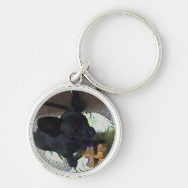 LLAVERO SUPERIOR DEL "BEBÉ POKEMON" (Frente)