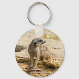 Llavero Suricata