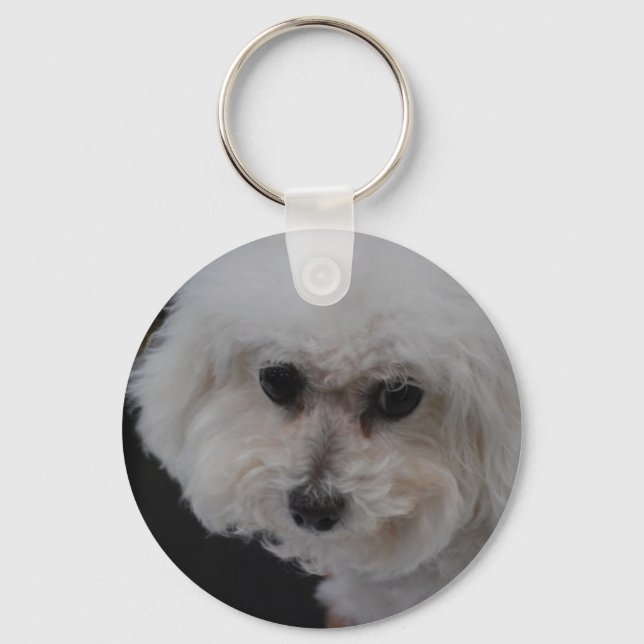 Llavero Sweet Bichon Frise (Anverso)