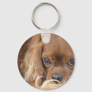 Llavero Sweet Ruby Cavalier King Charles Spaniel