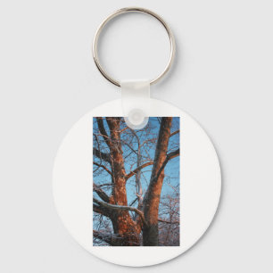 Llavero Sycamore Sunrise
