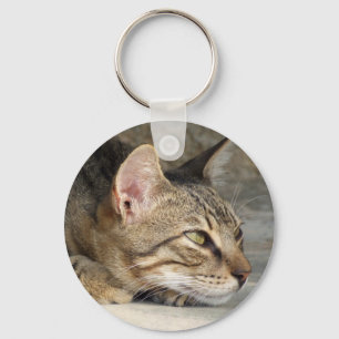 Llavero Tabby Cat Keychain
