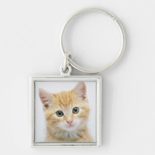 Llavero Tabby del naranja dulce