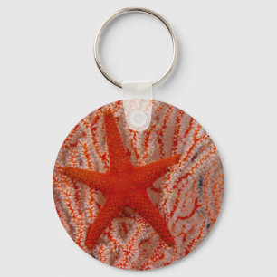 Llavero Tailandia, Estrella de Mar
