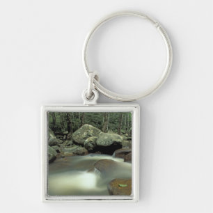 Llavero Tailandia, isla Kohsamui, paisaje de selva tropica