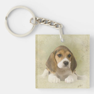Llavero Tapiz Beagle Faux Canvas Print Acrylic Print Tr