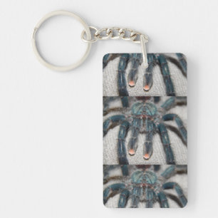 Llavero tarántula azul