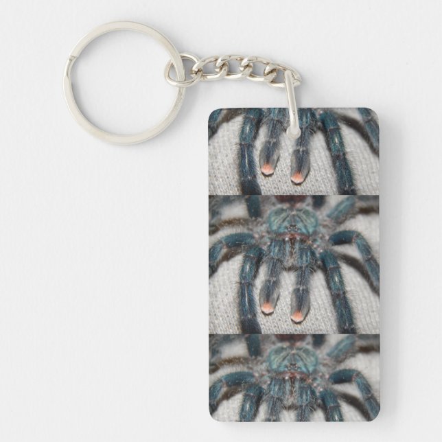 Llavero tarántula azul (Frente)