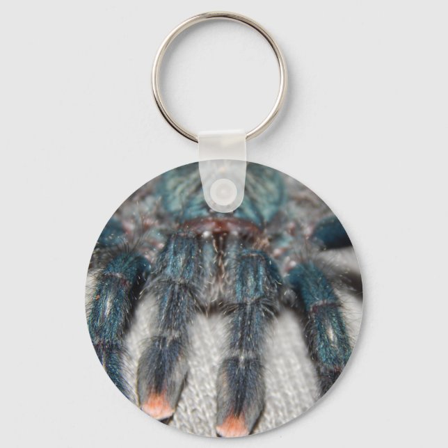 Llavero tarántula azul (Anverso)