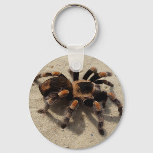 Llavero Tarantula brachypelma rodilla roja venenosa