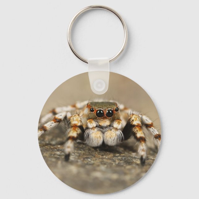 Llavero Tarantula Jumping Bird Spider accesorios impresion (Anverso)