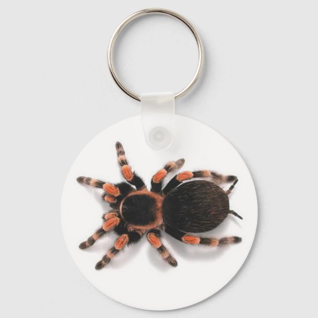 LLAVERO TARANTULA SPIDER KEYCHAIN KEYRING (Anverso)