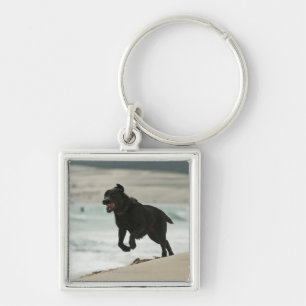 Llavero Tarifa, Cádiz, Andalucía, España