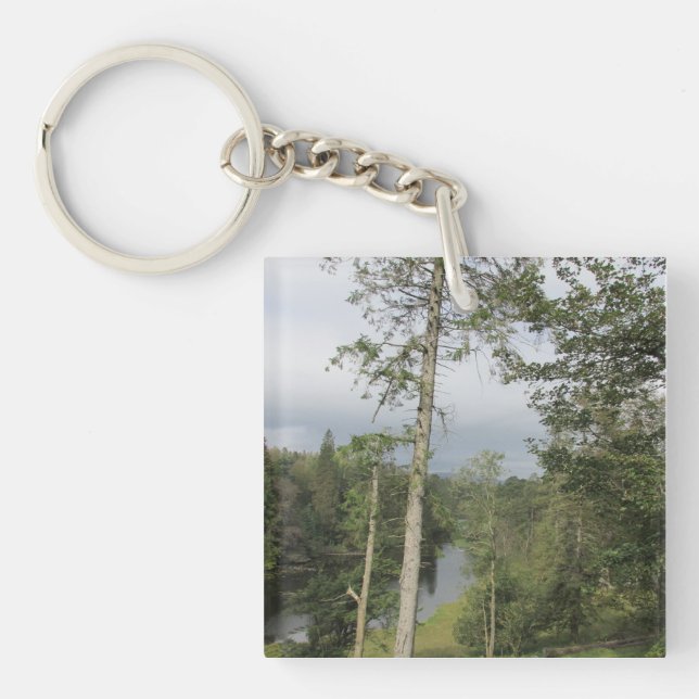 Llavero Tarn Muestra Árboles Aralia Claves (Frente)