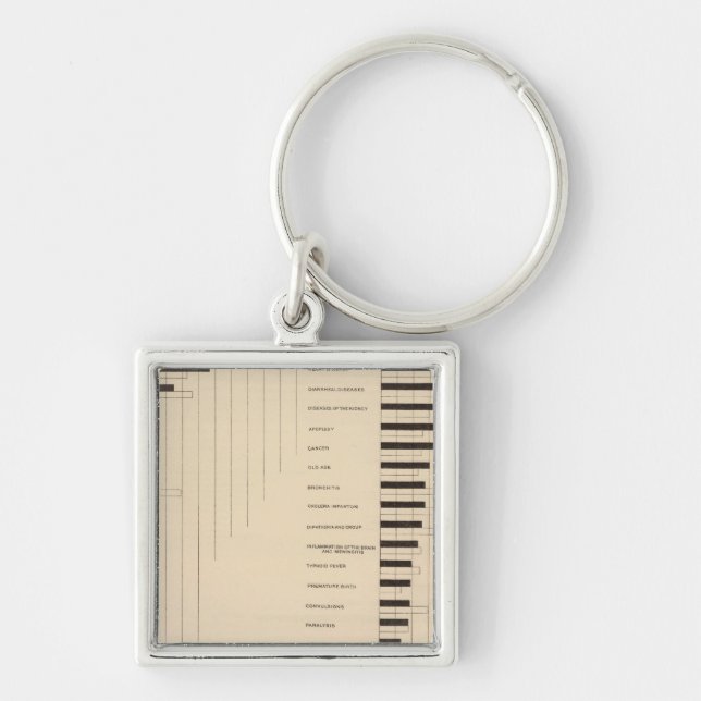 Llavero Tasas de mortalidad, causas 1900, 1890 (Frente)