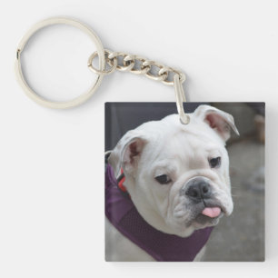 Llavero Taunt Bulldog