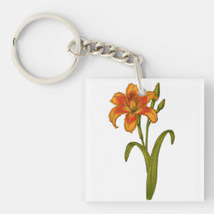 Llavero Tawny daylily