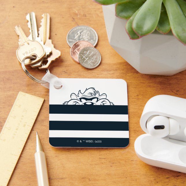 Llavero TAZ™ Ocultado en franjas (Escritorio )