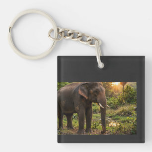 Llavero Taza del elefante del Parque Nacional Yala - Fauna
