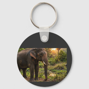 Llavero Taza del elefante del Parque Nacional Yala - Fauna