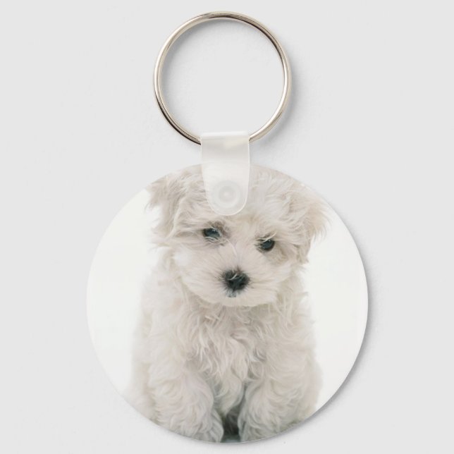 Llavero Tecla Cute Bichon Frise (Anverso)