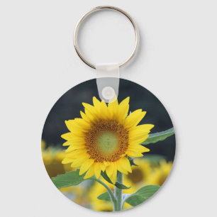 Llavero Tecla de botón girasol
