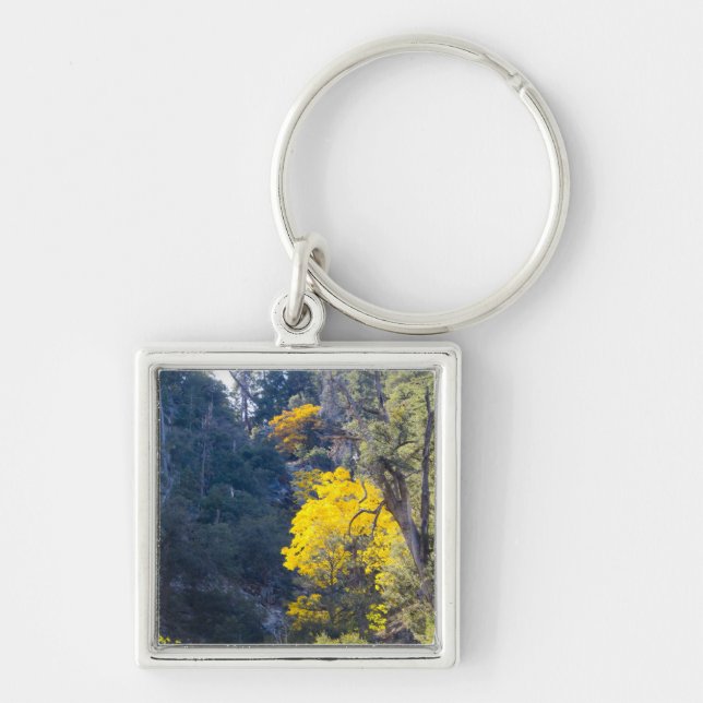 Llavero Tecla de caída 6 (Frente)