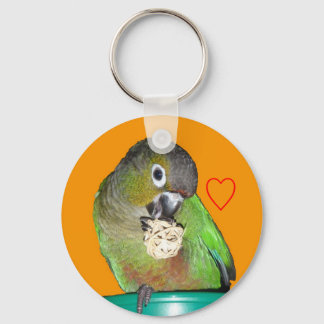 Llavero Tecla de conure de mejilla verde