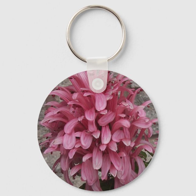 Llavero Tecla de flores de plumas de Brasil (Anverso)