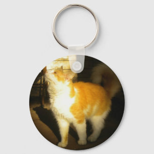 Llavero Tecla de gato dorado