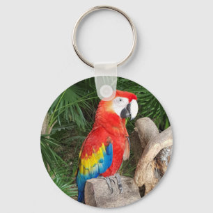 Llavero Tecla de loro rojo