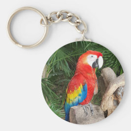 Llavero Tecla de loro rojo