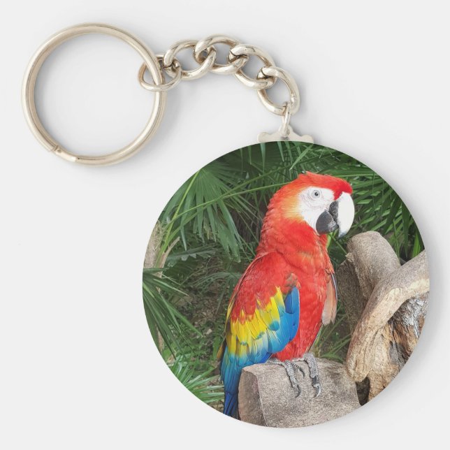 Llavero Tecla de loro rojo (Frente)