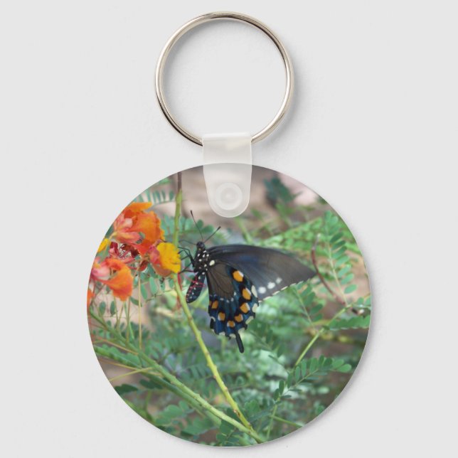 Llavero Tecla de monarca (Anverso)