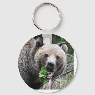 Llavero Tecla de oso pardo