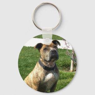 Llavero Tecla de Pitbull