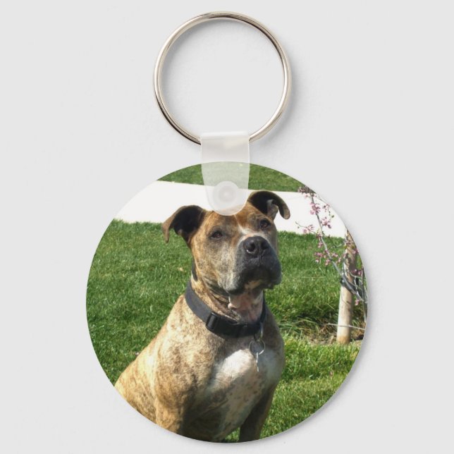 Llavero Tecla de Pitbull (Anverso)