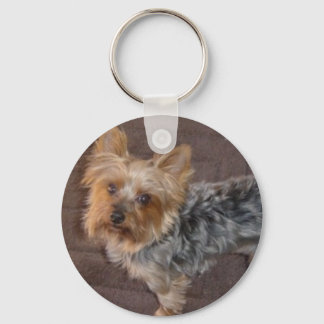 Llavero Tecla de Yorkshire Terrier
