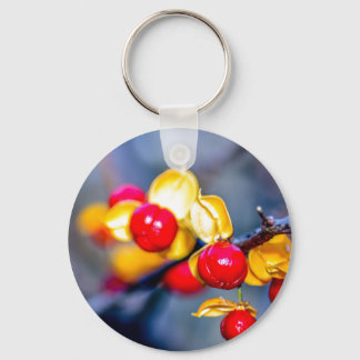 Llavero Tecla del botón Berries de otoño