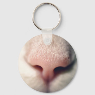 Llavero Tecla del botón de gatito blanco nevado