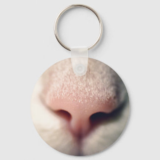 Llavero Tecla del botón de gatitos blancos silvestres