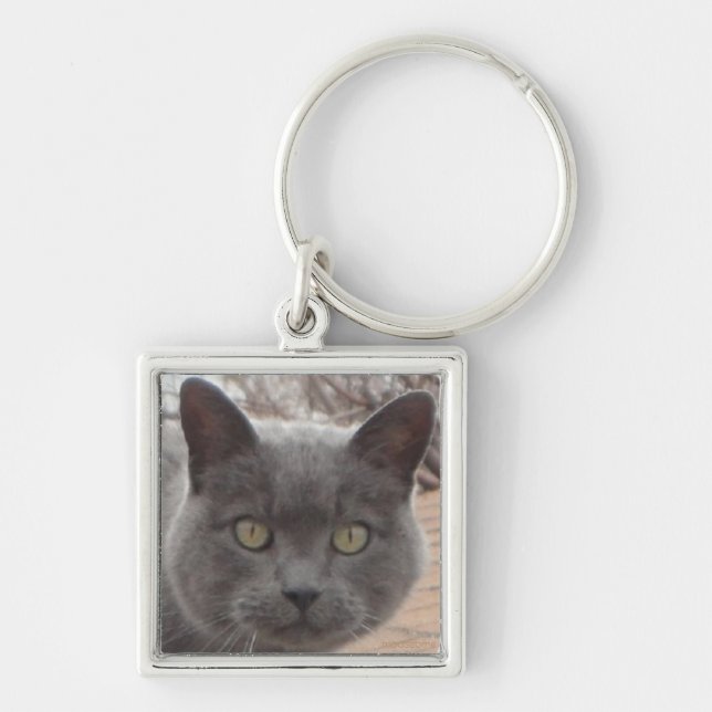 Llavero Tecla del techo de gatos (Frente)