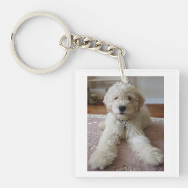 Llavero Tecla Goldendoodle (Frente)