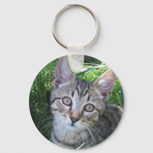 Llavero Tecla Gray Tabby Cat