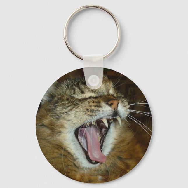 Llavero Tecla Maine coon 2 (Anverso)