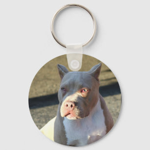 Llavero Tecla para cachorros de American Staffordshire Ter