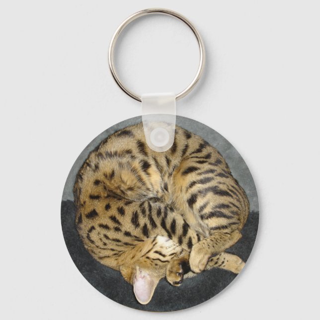 Llavero Tecla para gatos de Savannah (Anverso)